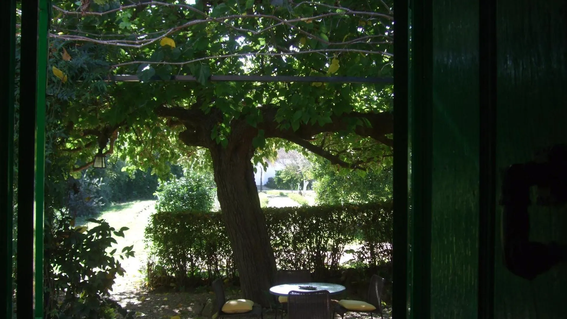 Cuevas Del Pino Turismo Rural Y Emocional Sl Guest House Villarrubia Country house