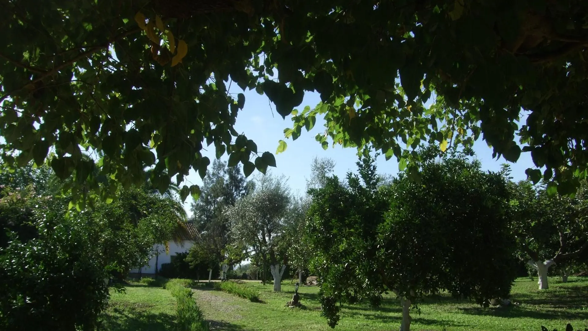 Cuevas del Pino Turismo Rural y Emocional SL Villarrubia Casa rural